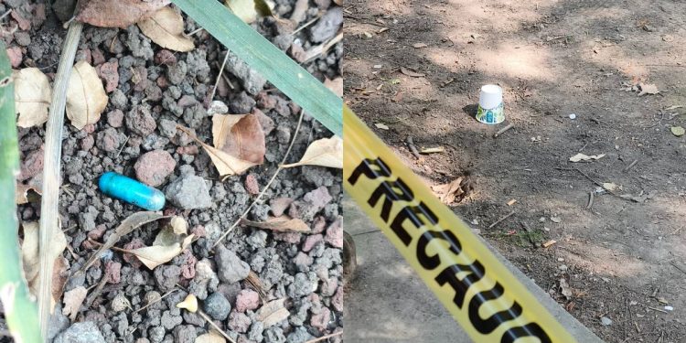 Investiga la FGJ-CDMX presunto envenenamiento masivo de perros en el Parque España